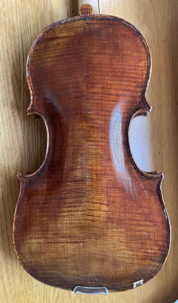 pessimistisk krigerisk Lav et navn Old Wood Guadagnini Model Violin - Don Roy